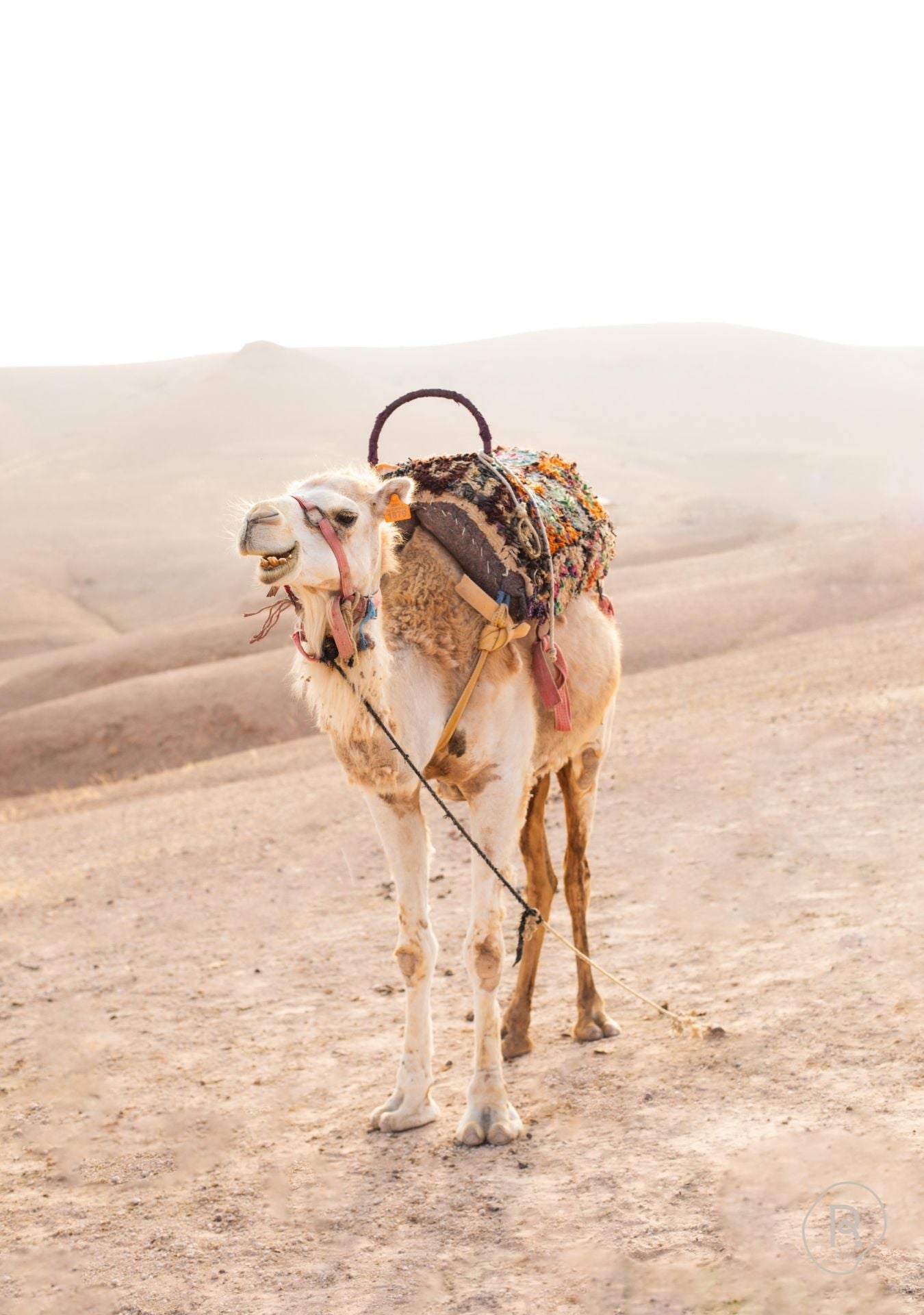 Desert Soul Pure Reflection