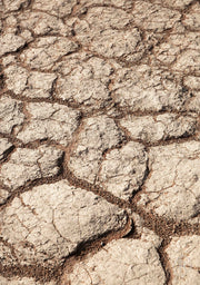 Grounded Echo Pure Reflection