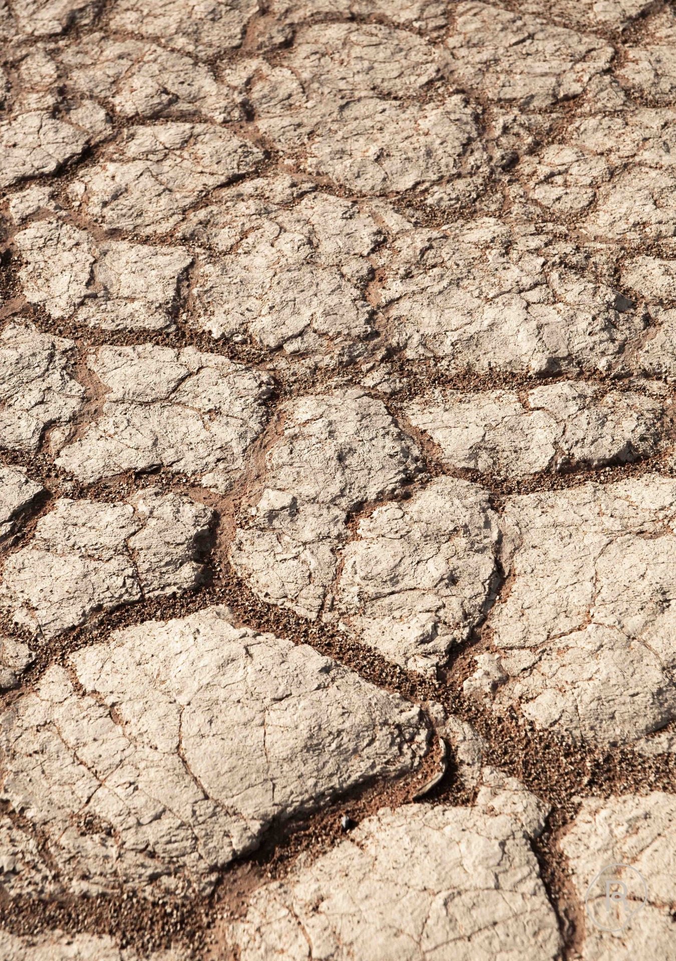 Grounded Echo Pure Reflection