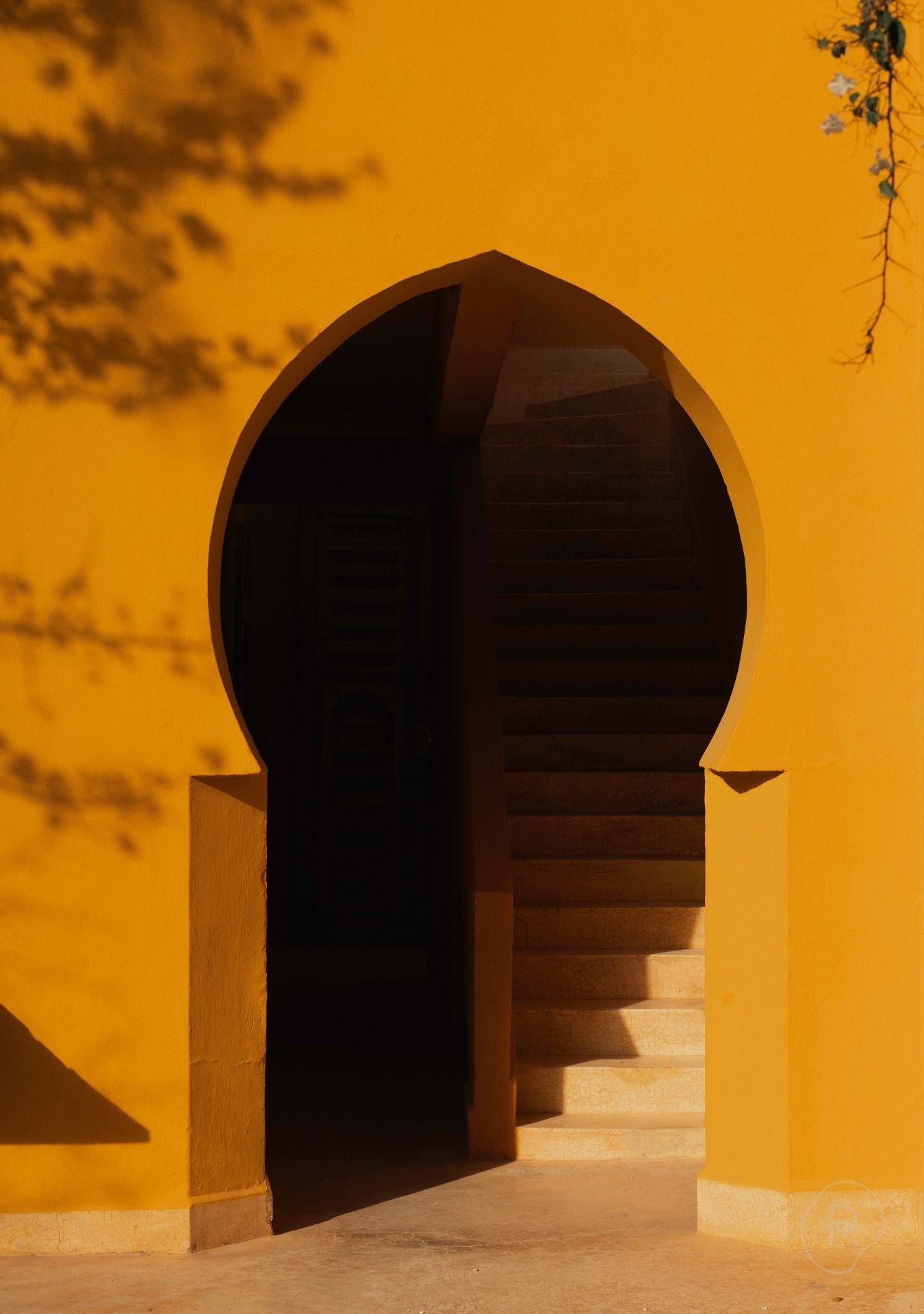 Golden Passage Pure Reflection