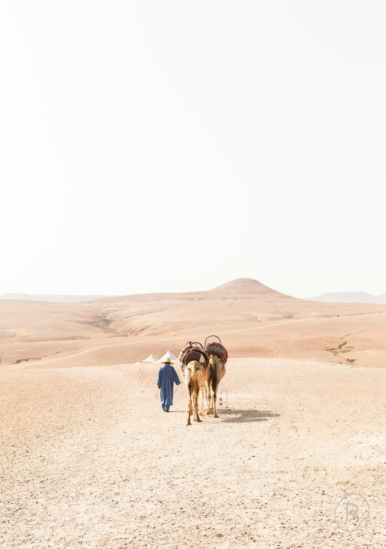 The Way Forward Pure Reflection